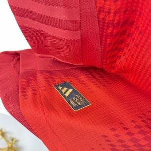 Bayern Munich Home 24/25 Player Version – Authentic Jersey